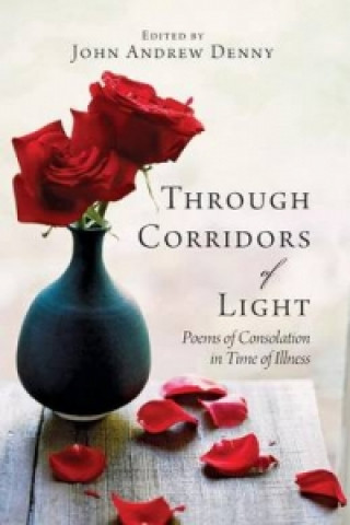 Knjiga Through Corridors of Light John Andrew Denny