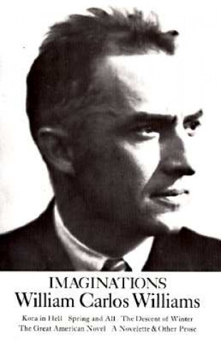 Book Imaginations William Williams