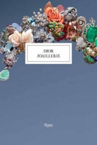 Книга Dior Joaillerie Michele Heuze