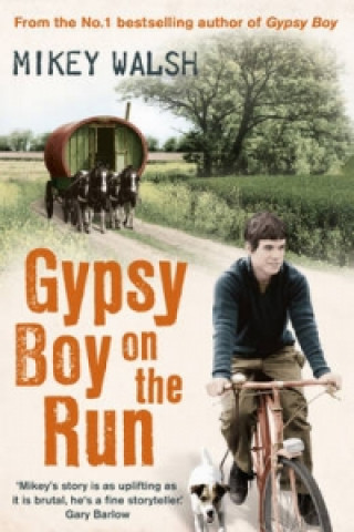 Könyv Gypsy Boy on the Run Mikey Walsh