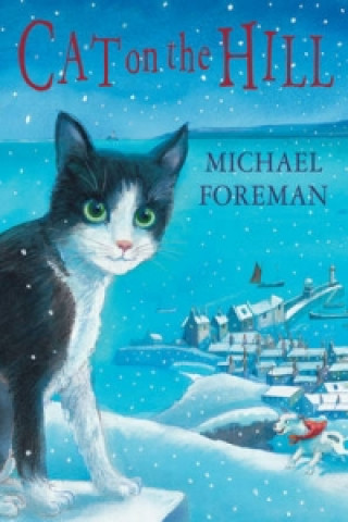 Kniha Cat on the Hill Michael Foreman