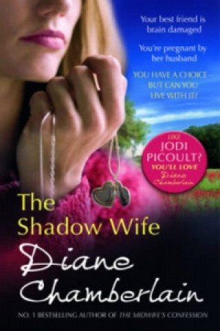 Könyv Shadow Wife Diane Chamberlain