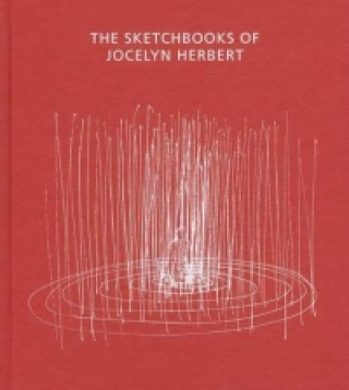 Kniha Sketchbooks of Jocelyn Herbert Stephen Farthing