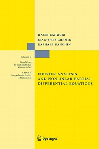 Kniha Fourier Analysis and Nonlinear Partial Differential Equation Bahouri