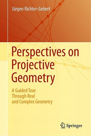 Książka Perspectives on Projective Geometry Richter-Gebert