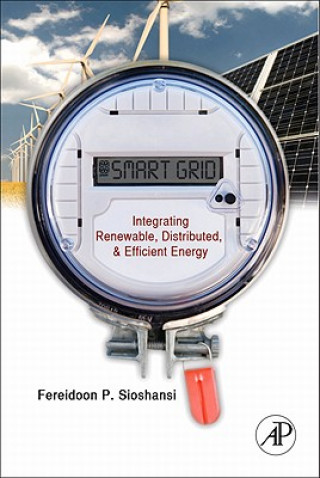 Kniha Smart Grid Fereidoon Sioshansi