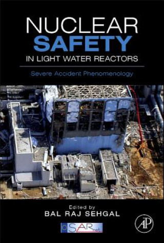 Kniha Nuclear Safety in Light Water Reactors Bal Raj Sehgal
