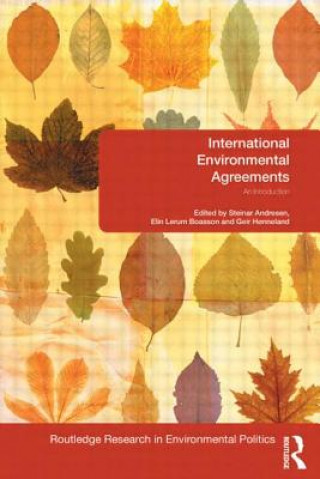 Book International Environmental Agreements 