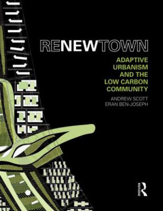 Книга ReNew Town Andrew Scott