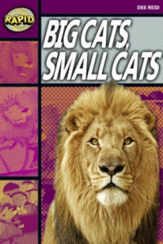 Carte Rapid Reading: Big Cats Small Cats (Stage 1, Level 1A) Dee Reid