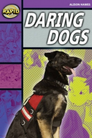 Kniha Rapid Stage 1 Set B: Daring Dogs(Series 1) Alison Hawes