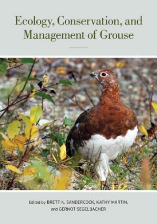 Książka Ecology, Conservation, and Management of Grouse Brett K Sandercock