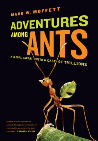 Книга Adventures among Ants Mark W Moffett
