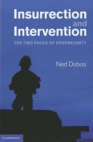 Kniha Insurrection and Intervention Ned Dobos