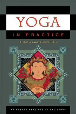 Book Yoga in Practice David White