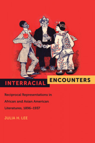 Libro Interracial Encounters Julia Lee