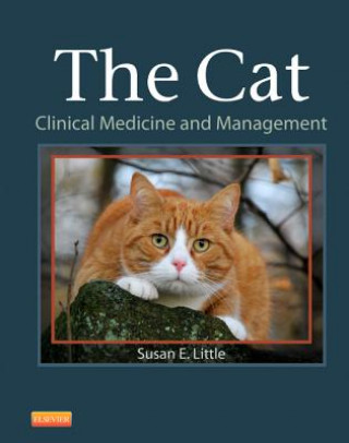 Knjiga Cat Susan Little