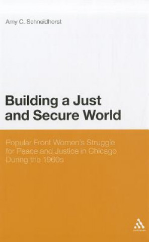 Book Building a Just and Secure World Amy C Schneidhorst