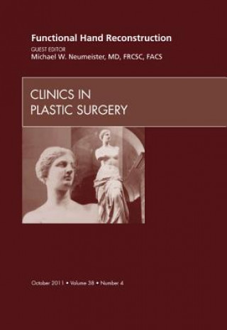Carte Functional Hand Reconstruction, An Issue of Clinics in Plastic Surgery Michael W Neumeister