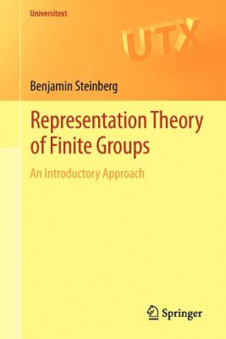 Kniha Representation Theory of Finite Groups Steinberg