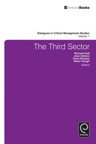 Kniha Third Sector Richard Hull