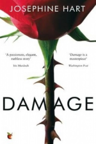 Kniha Damage Josephine Hart