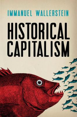 Książka Historical Capitalism Immanuel Wallerstein