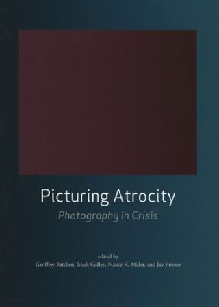 Книга Picturing Atrocity G Batchen
