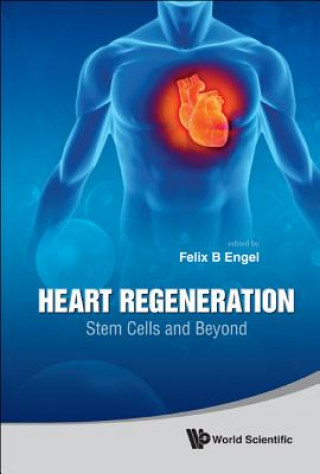 Kniha Heart Regeneration: Stem Cells And Beyond Felix B Engel