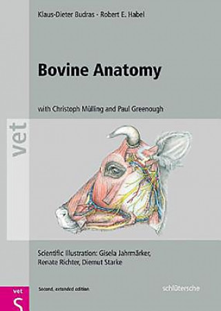 Kniha Bovine Anatomy Klaus Dieter Budras