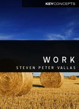 Carte Work - A Critique Steven Vallas