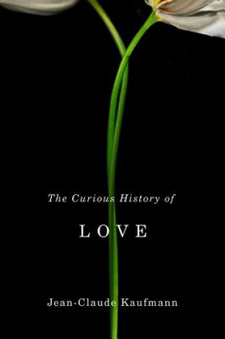Kniha Curious History of Love Jean-Claude Kaufmann