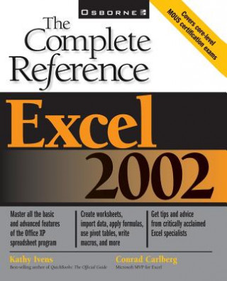 Buch Excel 2002 Kathy Ivens