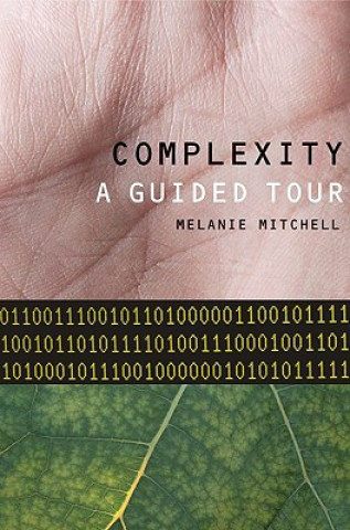 Carte Complexity Melanie Mitchell