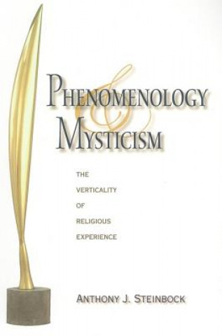 Carte Phenomenology and Mysticism Anthony J Steinbock