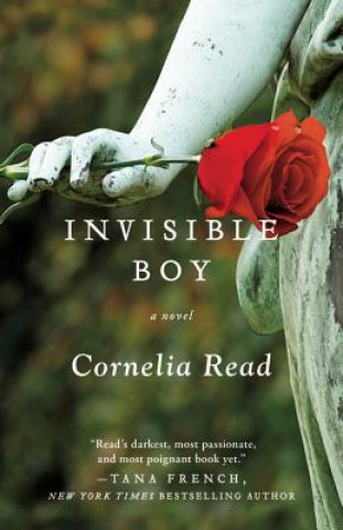 Libro Invisible Boy Cornelia Read