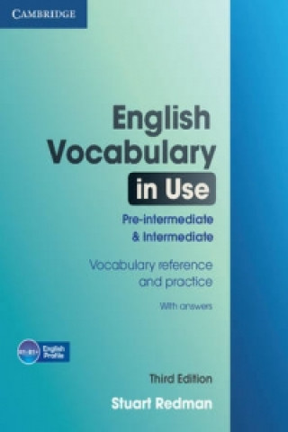 Carte English Vocabulary in Use Pre-intermediate and Intermediate Stuart Redman
