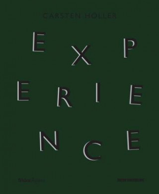 Buch Carsten Hoeller: Experience Daniel Birnbaum