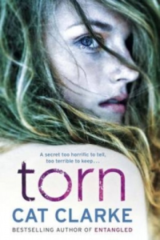Kniha Torn Cat Clarke