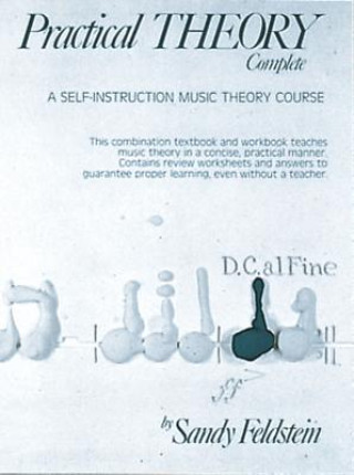 Könyv Practical Theory Complete Sandy Feldstein