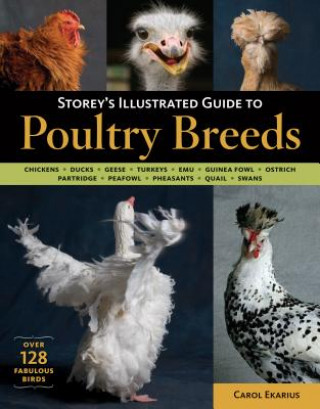 Book Storeys Illustrated Guide to Poultry Breeds Carol Ekarius