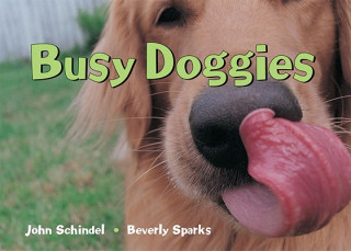 Könyv Busy Doggies John Schindel