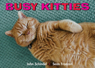 Carte Busy Kitties John Schindel