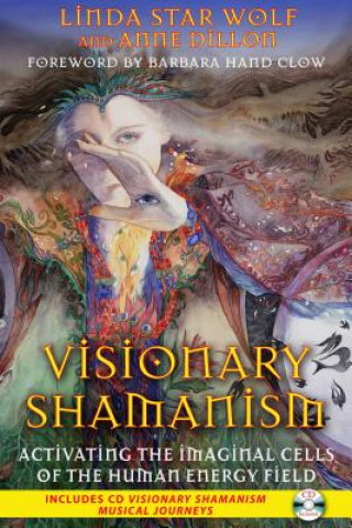 Kniha Visionary Shamanism Linda Star Wolf