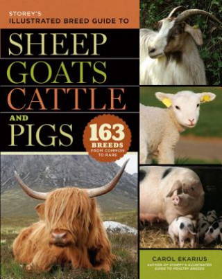 Kniha Storey's Illustrated Breed Guide to Sheep, Goats, Cattle and Carol Ekarius