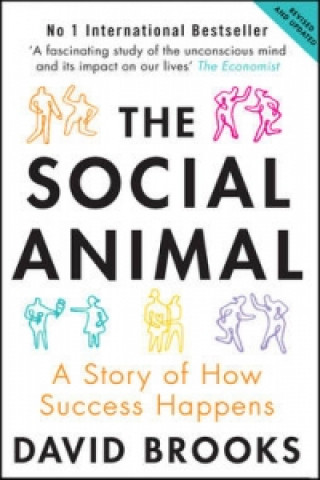 Könyv Social Animal David Brooks
