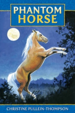 Buch Phantom Horse Christine Pullein Thompson
