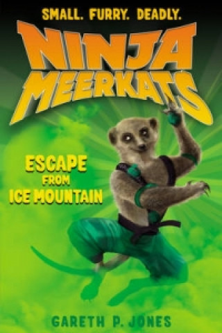 Boek Escape from Ice Mountain Gareth P. Jones