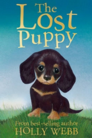 Книга Lost Puppy Holly Webb