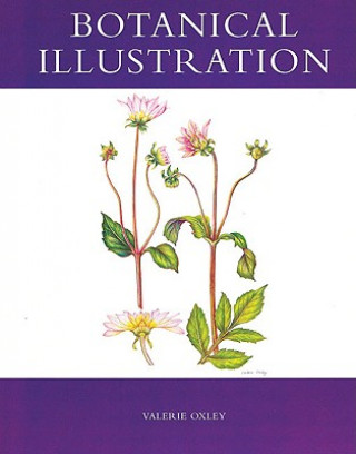 Kniha Botanical Illustration Valerie Oxley